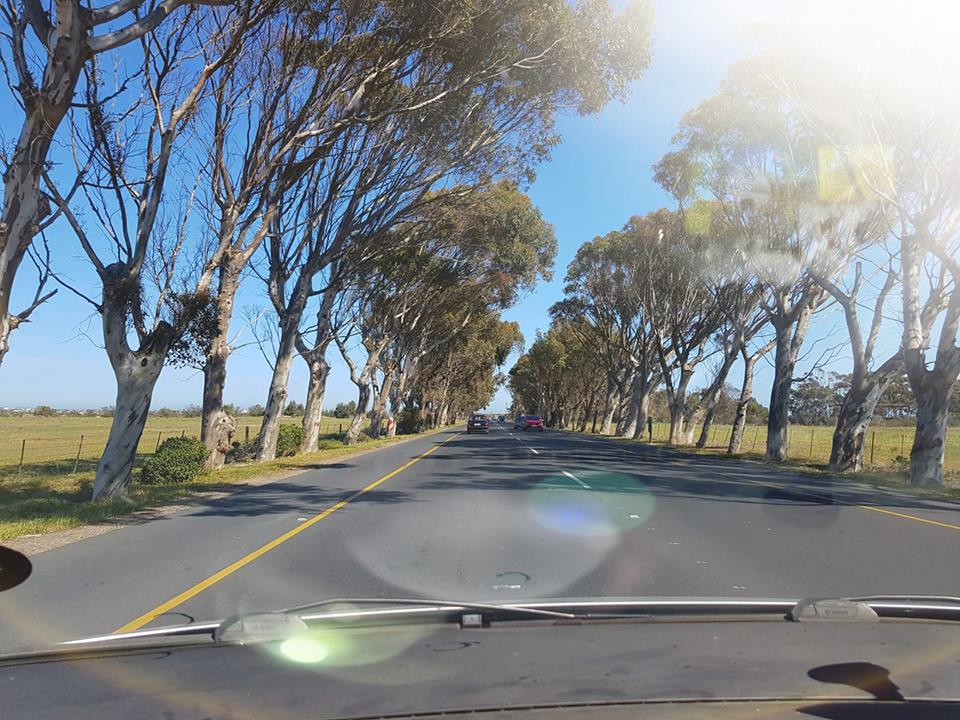 Day 1 in the journey of Human: The explanation of something vitally&nbsp;insignificant.