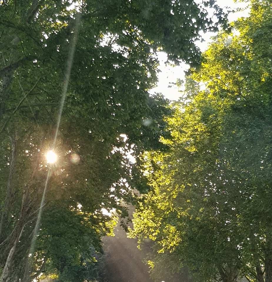 Day 7 in the journey of Human: Glimmer of&nbsp;Change